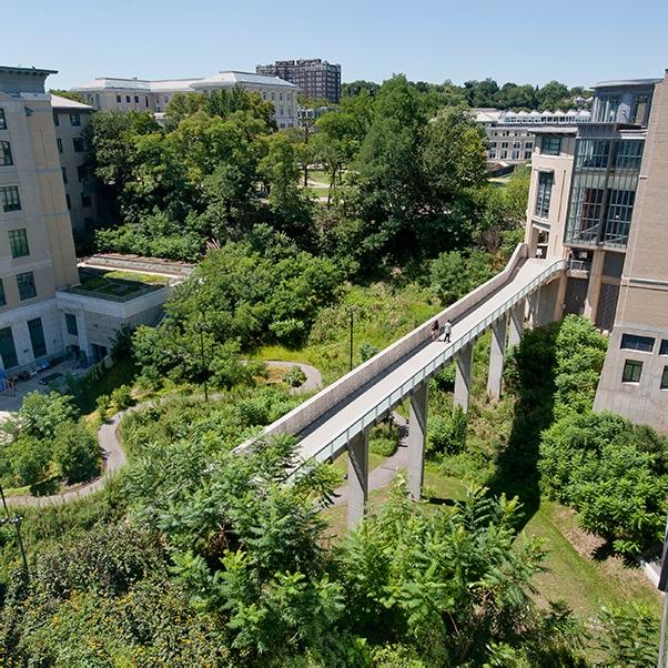 Randy Pausch Bridge on a Sunny Summer Day